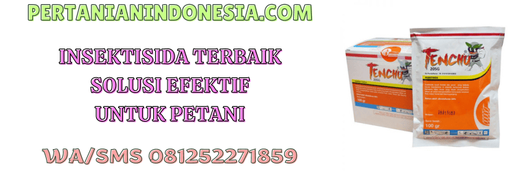 pestisida,insektisida,pestisida jenis insektisida,racun serangga,pertanian indonesia